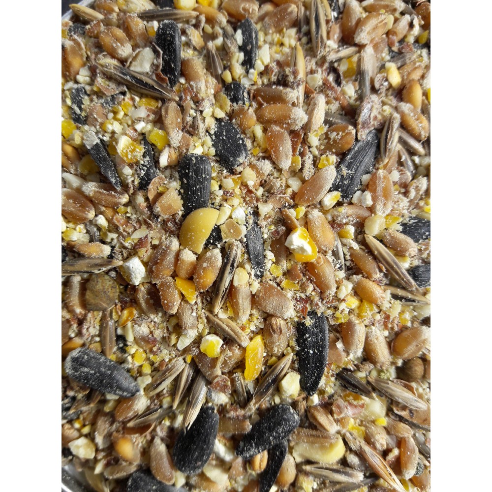 Graines pour les oiseaux Aliment gras pour oiseaux, 2.5 kg - Accessoires de  jardin, Gazon, Produits pour le soin des plantes / Produits pour animaux -  Samen-Mauser